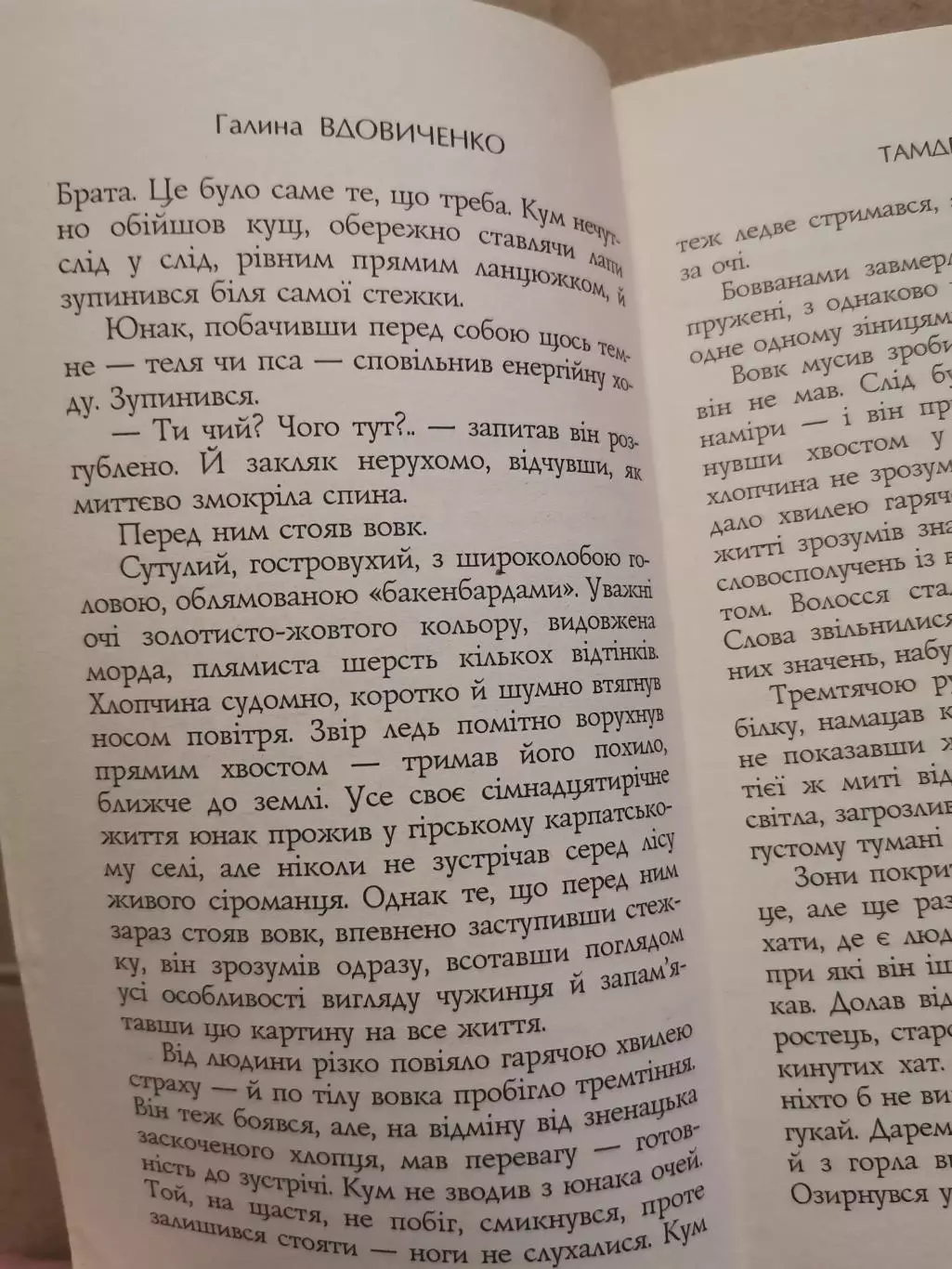 Тамдевін. Галина Вдовиченко 5