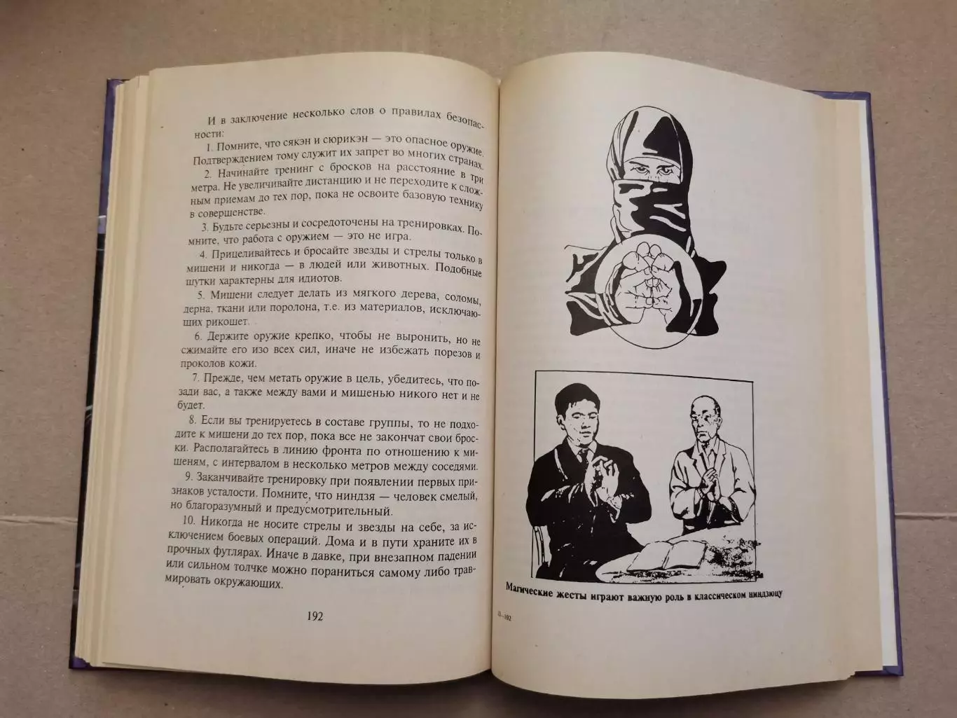 Воины тени. Боевые искусства. 3