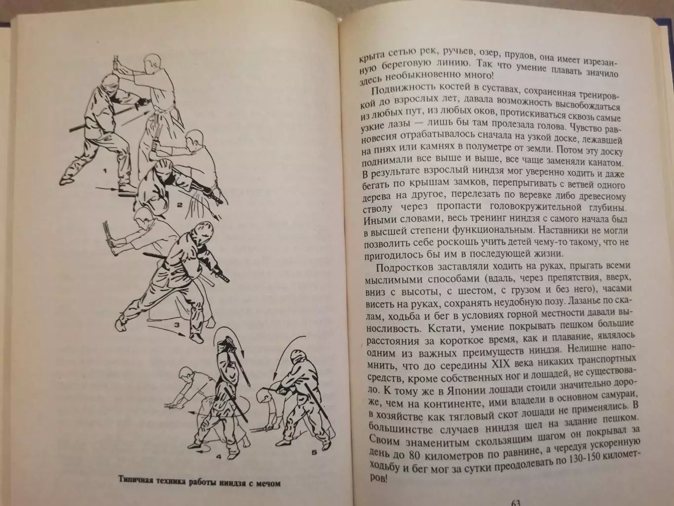 Воины тени. Боевые искусства. 6