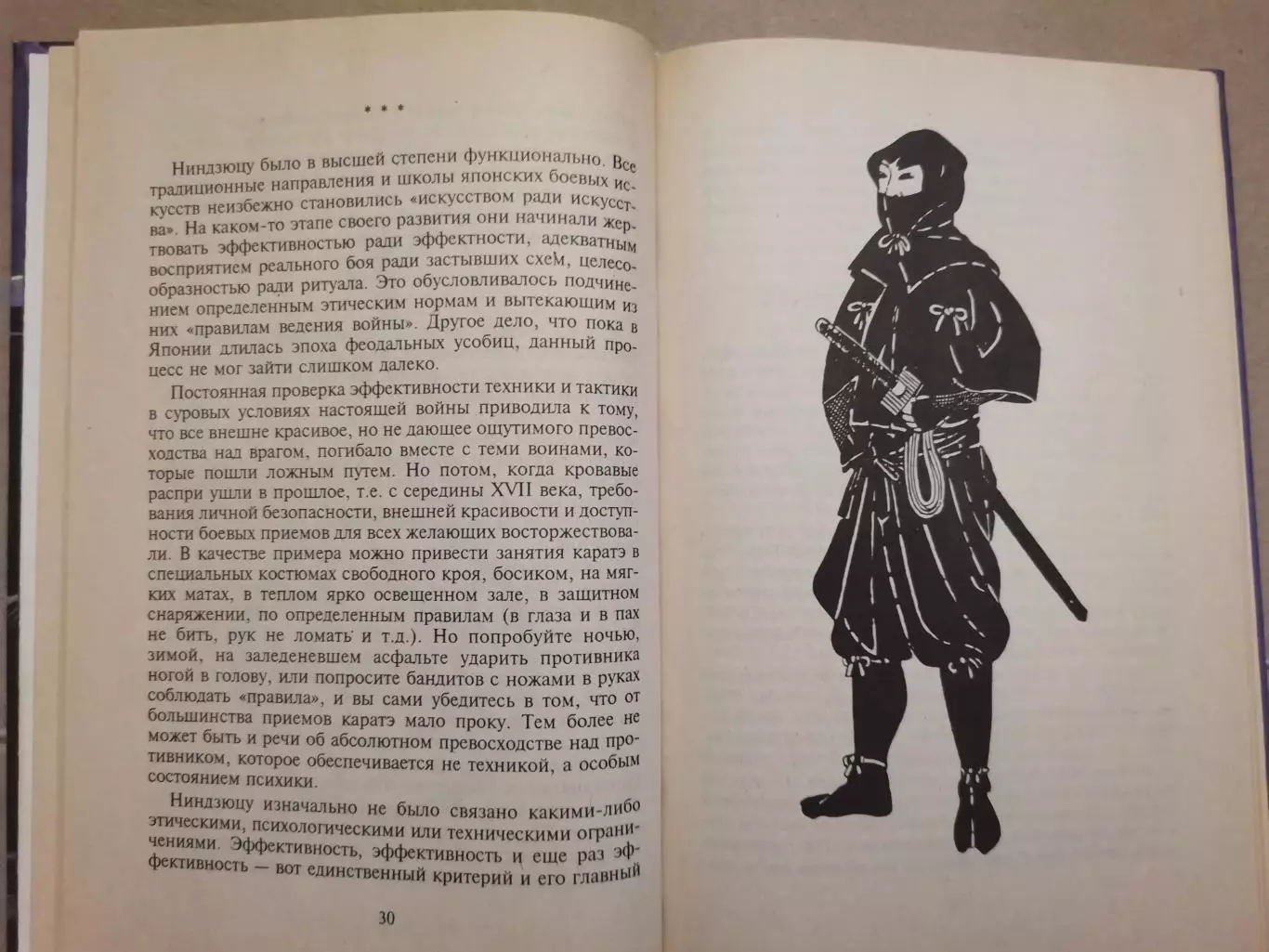 Воины тени. Боевые искусства. 7