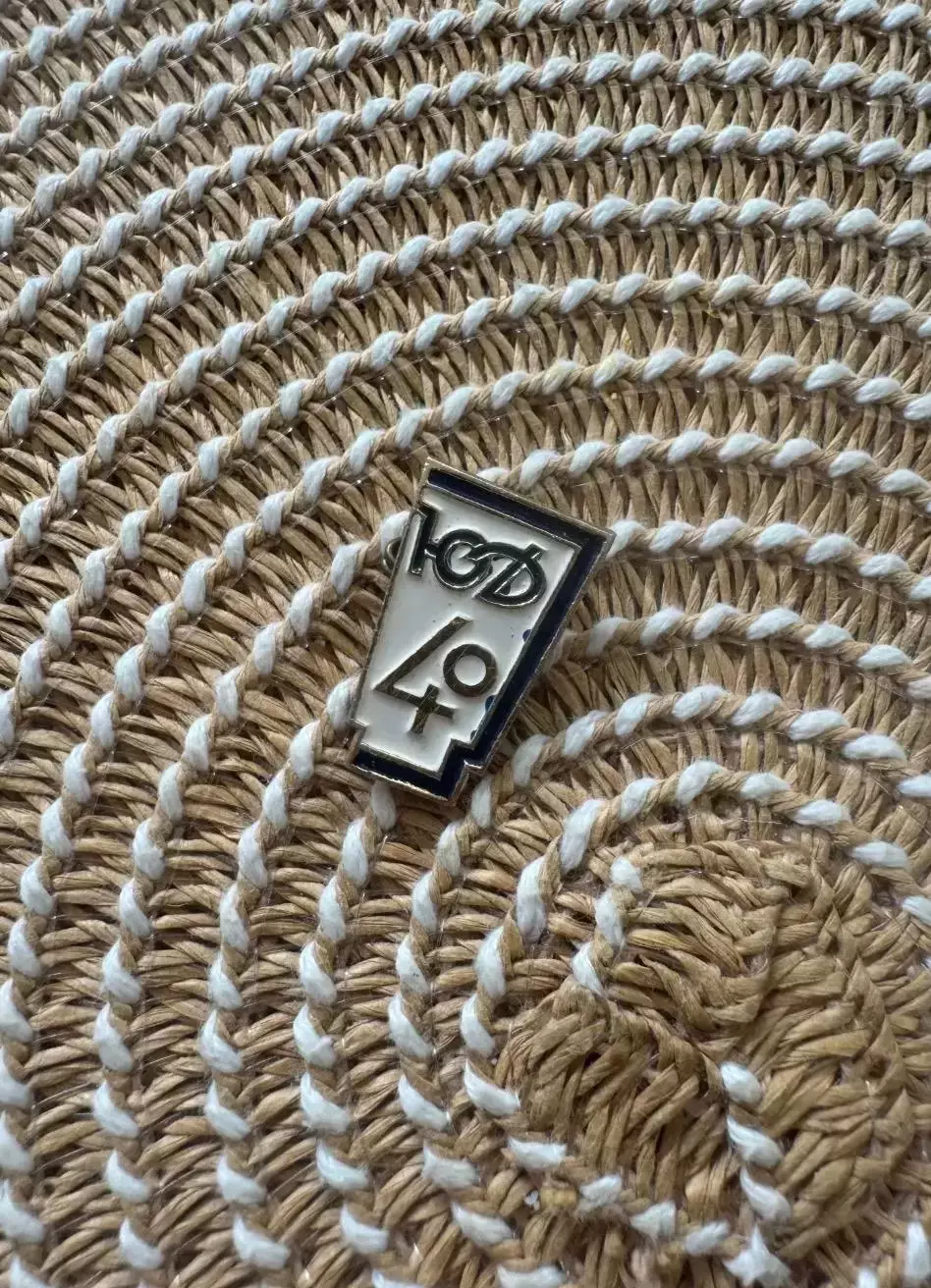 Знак значок Динамо. Юный Динамовец 1963 40 летие