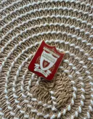 Знак значок Ливерпуль Англия 1992.