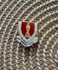 Знак значок Ноттингем Форест Англия 1989 Обладатель Кубка Английской Лиги