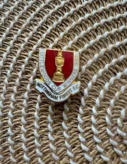 Знак значок Ноттингем Форест Англия 1989 Обладатель Кубка Английской Лиги
