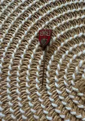 Знак значок Штутгарт ФК Германия 1985 год.