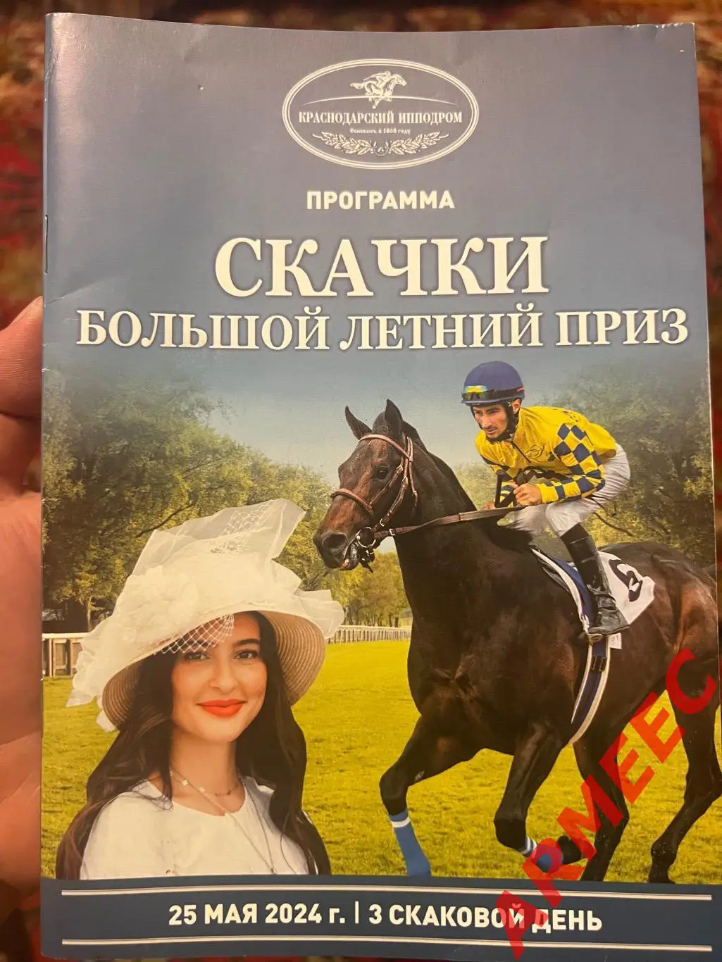 Скачки большой летний приз 25.05.2024