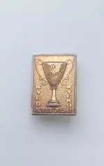 ФК Динамо Киев Кубок 1975 (2)