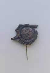 ФК Динамо Киев 50 лет