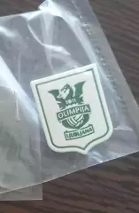 ФК Олимпия Любляна официальный (2)