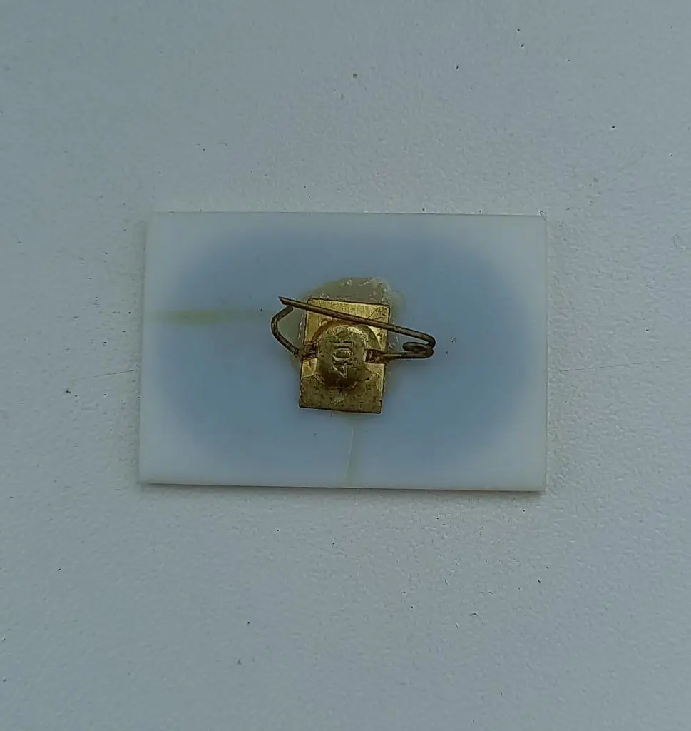 ФК Динамо Киев Бавария Суперкубок 1975 1