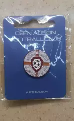 ФКЦефн Альбион Уэльс официальный