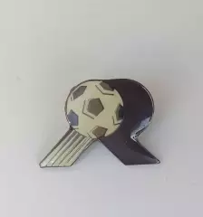 ФК Реджина Италия