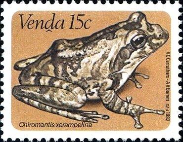 Южная Африка Венда 1982 Фауна (Лягушки) 3мих 66/990руб 2