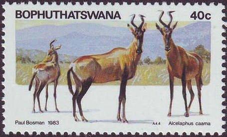 Южная Африка Бопутатсвана 1983 Фауна №мих 100/3110руб 1
