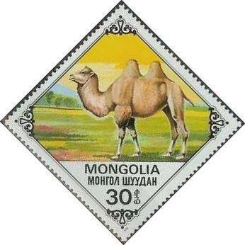 Монголия 1978 Фауна(верблюды) №мих1185/91160руб