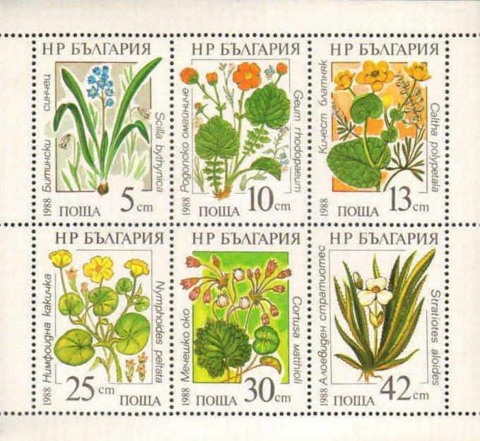Болгария1988 Флора(цветы) № мих клб 3628/3370руб