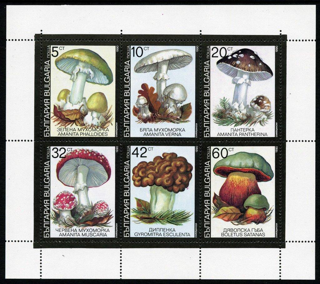 Болгария1991 Флора(грибы) № мих клб3886/170руб