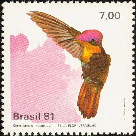Бразилия 1981 Фауна(птицы) №мих1823/6150руб 3