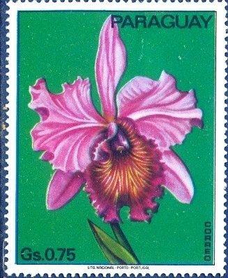 Парагвай 1973 Флора(Цветы)№ мих2525/31200руб