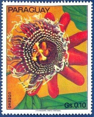 Парагвай 1973 Флора(Цветы)№ мих2525/31200руб 4