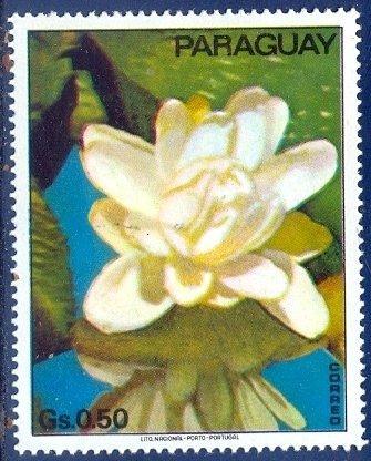Парагвай 1973 Флора(Цветы)№ мих2525/31200руб 6