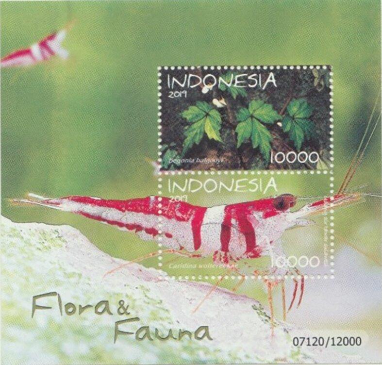 Индонезия 2019 Фауна и флора160руб