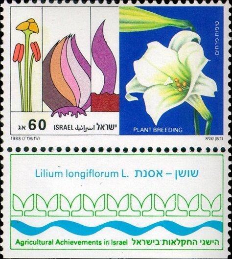 Израиль 1988 Флора(цветы,фрукты,растения) №мих1113/5130руб 2