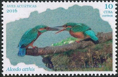 Куба 2016 Фауна (птицы) №мих 6133/6+бл340180руб 3