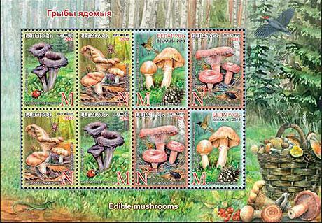 Белоруссия 2013 Флора (грибы) №мих клб 971/4340руб