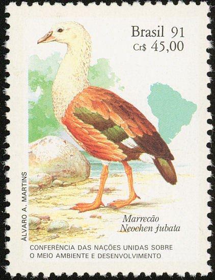 Бразилия 1991 Фауна(птицы) №мих241420руб