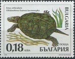 Болгария1999 Фауна(Черепахи) № мих 4425/870руб 1