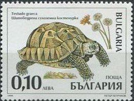 Болгария1999 Фауна(Черепахи) № мих 4425/870руб 3