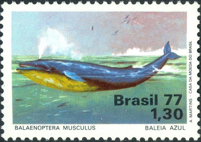 Бразилия 1977 Фауна(киты) №мих15976Ме120руб