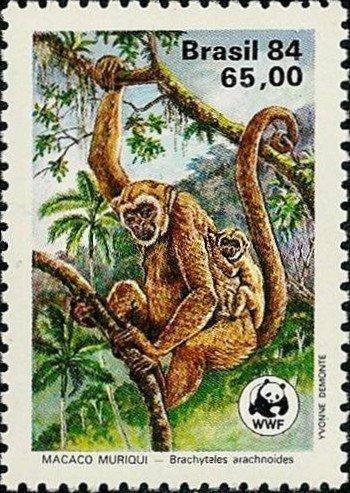 Бразилия 1984 Фауна(обезьяны.WWF) №мих252/380руб 1