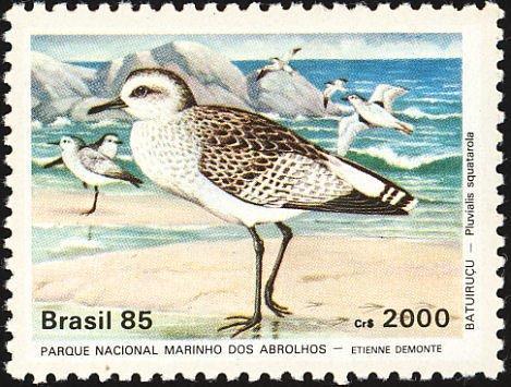 Бразилия 1985 Фауна(птицы) №мих2122/5140руб 1