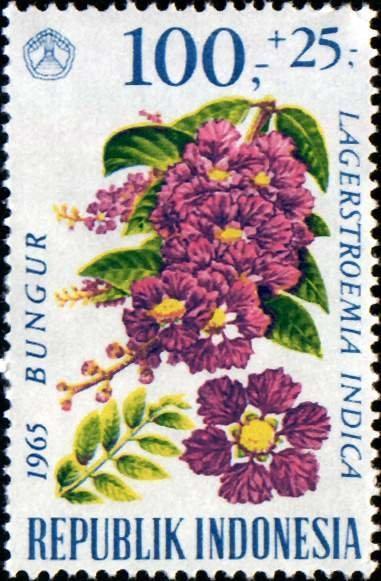 Индонезия 1965 Флора(цветы) №мих 499/0290руб