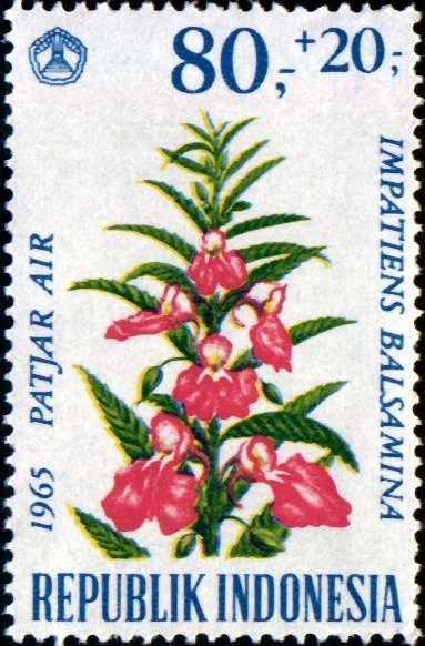 Индонезия 1965 Флора(цветы) №мих 499/0290руб 2