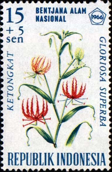 Индонезия 1966 Флора(Цветы) №мих 536/970руб