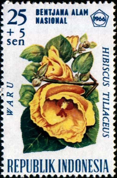Индонезия 1966 Флора(Цветы) №мих 536/970руб 1
