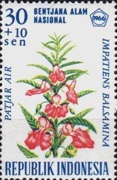 Индонезия 1966 Флора(Цветы) №мих 536/970руб 2