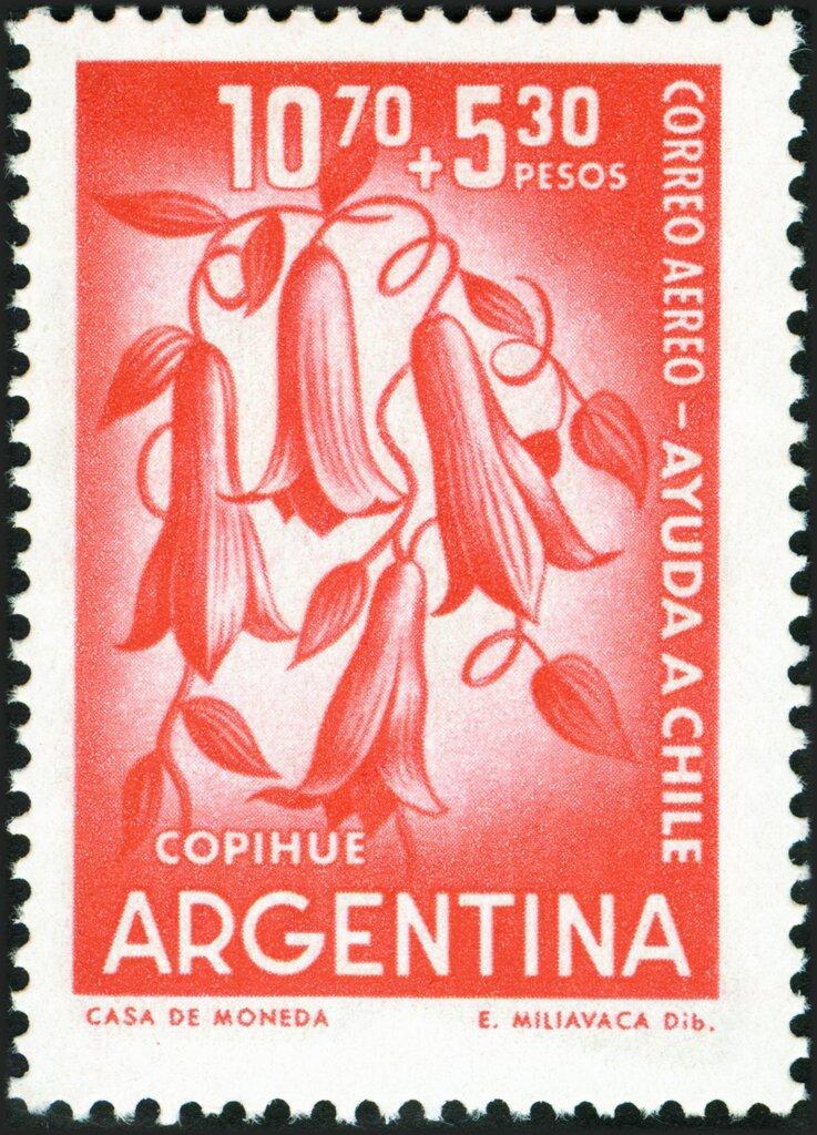 Аргентина 1960 Флора (цветы) №мих 742/340руб