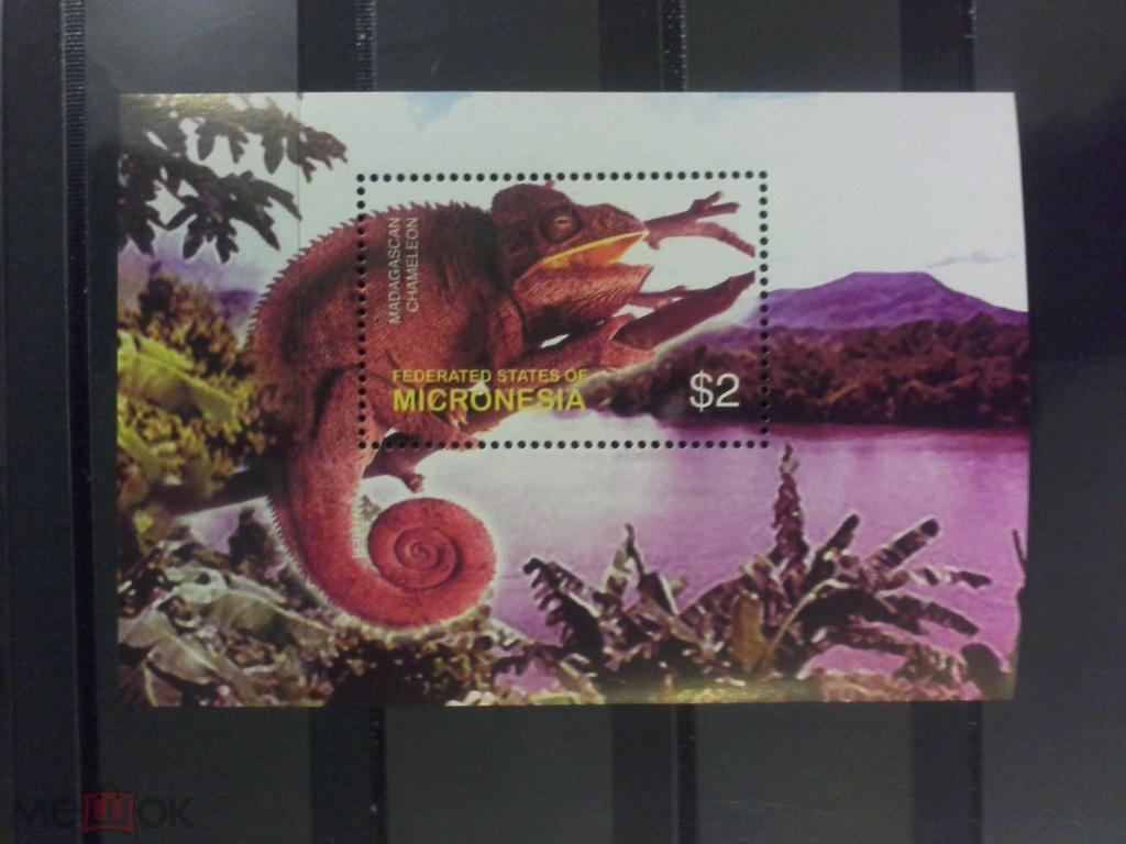 Микронезия 2003 Фауна(лягушки, рептилии) №мих1496/99+бл131- 340руб
