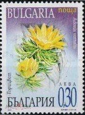 Болгария 2000 Флора(цветы) № мих 4488/9- 70руб 3