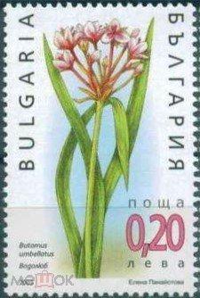 Болгария 2003 Флора(цветы) № мих 4605/8 -90руб 2
