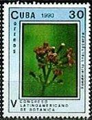 Куба 1990 Флора(цветы) №мих3393/7- 160руб 3