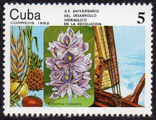 Америка: Куба 1982 флора(цветы) №мих2681/2 - 50руб 1