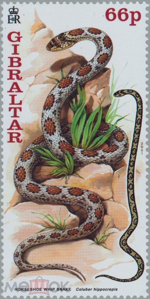 Гибралтар 2001 Фауна(рептилии) №мих 955/61-200руб
