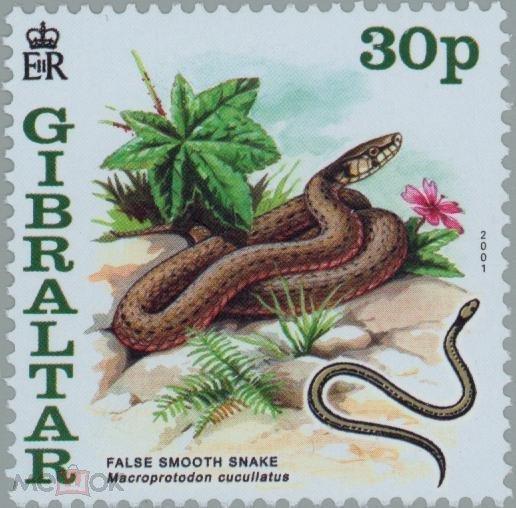 Гибралтар 2001 Фауна(рептилии) №мих 955/61-200руб 1