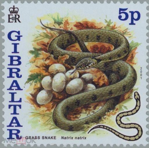 Гибралтар 2001 Фауна(рептилии) №мих 955/61-200руб 2