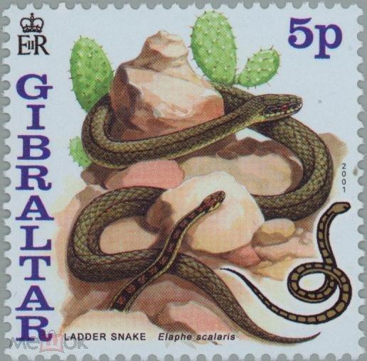 Гибралтар 2001 Фауна(рептилии) №мих 955/61-200руб 3
